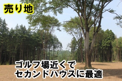 石岡市・売地