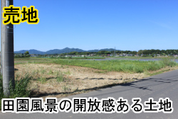 石岡市金指