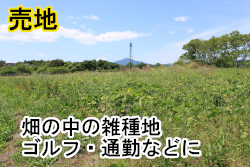 石岡市下林