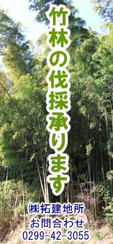 竹林の伐採承ります