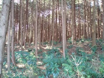 石岡市大塚
