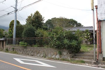 H猩