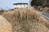 Ήs`@쑤