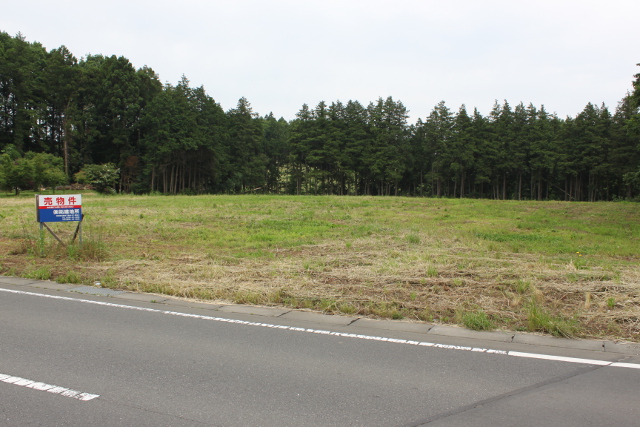 �Ή��s�R��