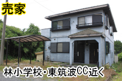 石岡市下林
