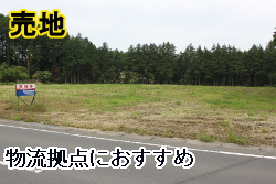 �Ή��s�R��